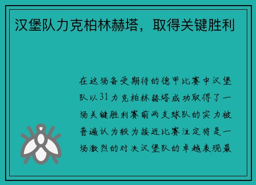 汉堡队力克柏林赫塔，取得关键胜利